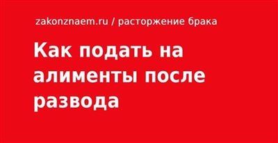 Алименты самозанятых: новые требования в 2025 году