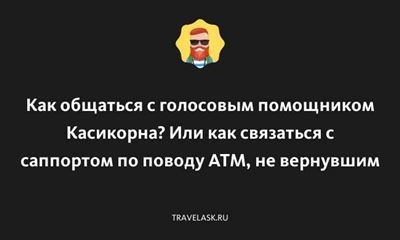 Какие сроки декретных выплат установлены законодательством