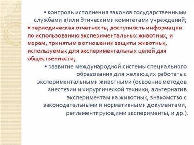 Как наказывается убийство животного в России?