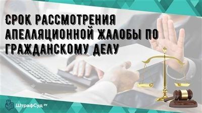 Кассация: суть кассационной инстанции и ее роль в судопроизводстве России