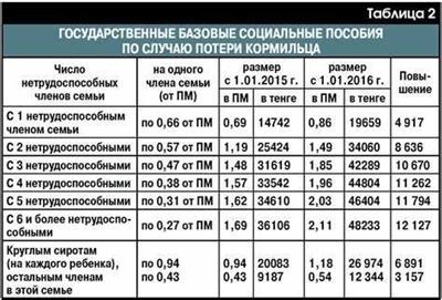 Изменения в льготах по потере кормильца в 2024 году