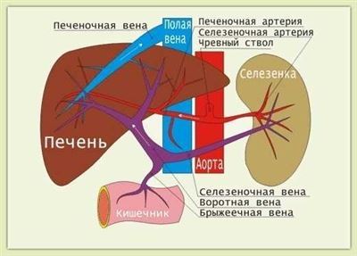 Что такое раковая интоксикация?