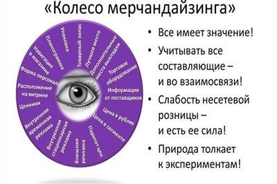 Три основных правила мерчандайзинга в магазине, составляющих его основу: какие принципы к ним относятся