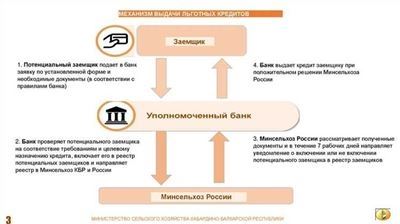 Подробный пошаговый путеводитель по регистрации НКО в году