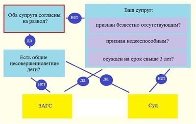 Продолжительность и стоимость бракоразводного процесса