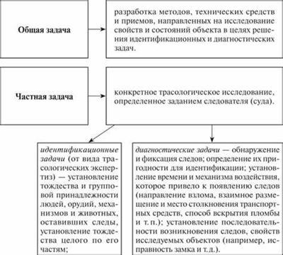 Какие вопросы могут быть поставлены на разрешение трасологической экспертизы? Ответы пользователей