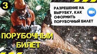 Можно ли вырубать деревья без порубочного билета?