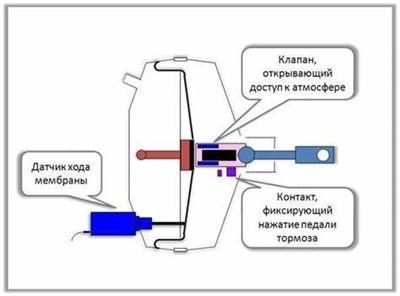 Схема внутреннего устройства вакуумного усилителя тормозов