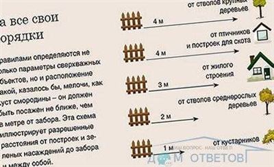 Высота забора в частном доме по закону ИЖС 2022-2023 года