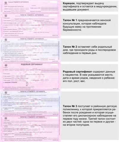 Правовые аспекты родового сертификата в России